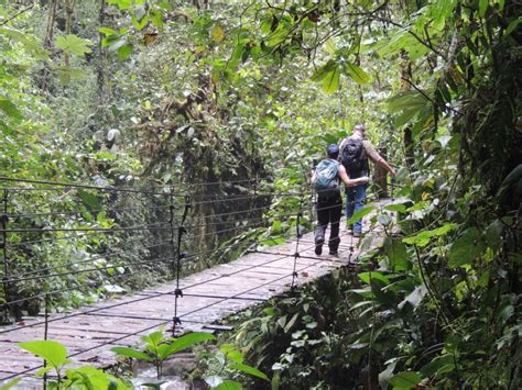 Desde Quito Excursi N Guiada De Un D A Al Bosque Nublado De Mindo