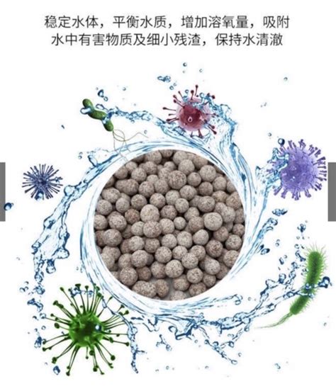 水族最便宜 陶瓷珠 石英球 培菌球 Mraqua中空石英球 陶瓷環 100g（適合小外掛、圓桶、濾槽） Yahoo奇摩拍賣