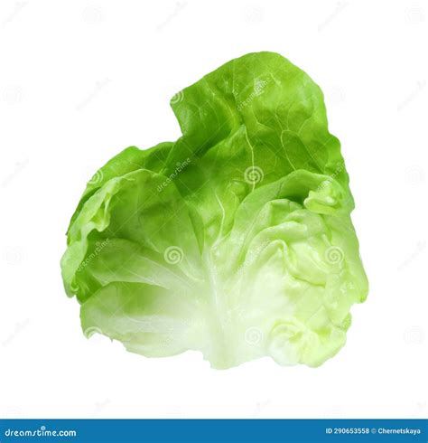 Fresh Leaf Of Green Butter Lettuce Isolated On White Stock Photo
