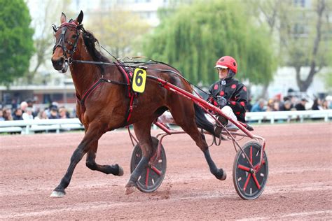 Trot alerte tendineuse pour Délia du Pommereux