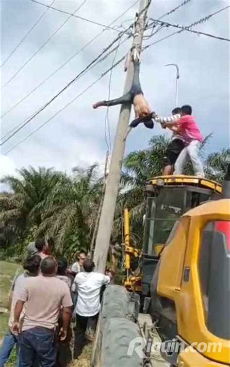 Sempat Tergantung Di Tiang Listrik Akhirnya Biro PLN Ini Bisa