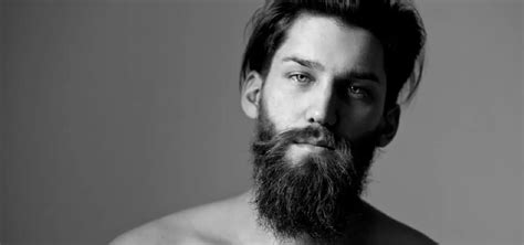 105 Estilos De Barba Para Asesorar Tu Hombre Tutoriales