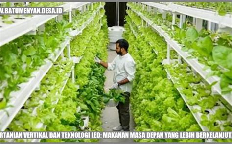 Pertanian Vertikal Dan Teknologi LED Makanan Masa Depan Yang Lebih