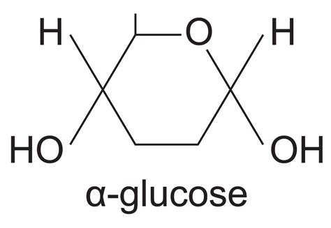 Simple Glucose Molecule