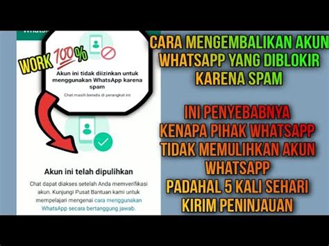 Work Cara Cepat Memperbaiki Akun Whatsapp Yang Diblokir Spam Oleh