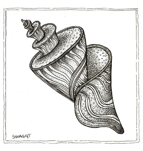 Pin By Caedy Convis On To Draw Shell Drawing Zentangle Art Ink Pen