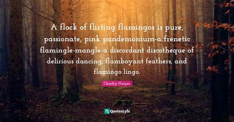 A Flock Of Flirting Flamingos Is Pure Passionate Pink Pandemonium A