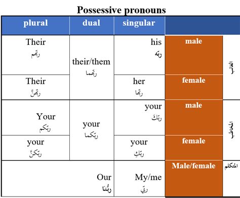 Lesson 3 Possessive pronouns جدول الضمائر المتصلة Diagram Quizlet