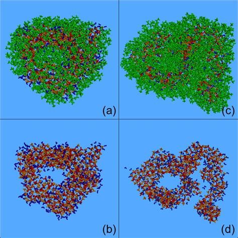 Characteristic Snapshots From The Md Simulations Of The Two