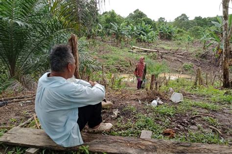 Otorita Ikn Pembangunan Ikn Libatkan Masyarakat Lokal Antara News