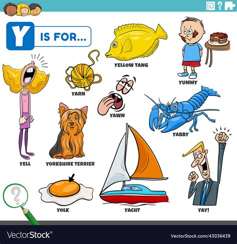 Letter Y Words Educational Set With Cartoon Vector Image