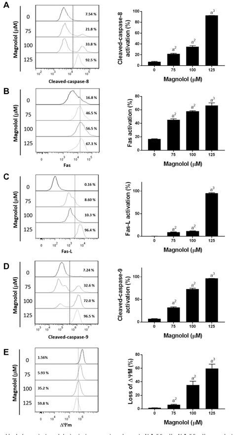 Magnolol Suppresses Erk Nf B Signaling And Triggers Apoptosis Through