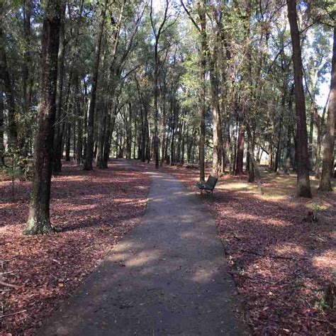 Sholom Park Enchanted Forest Trail Walk Ocala Florida Usa Pacer