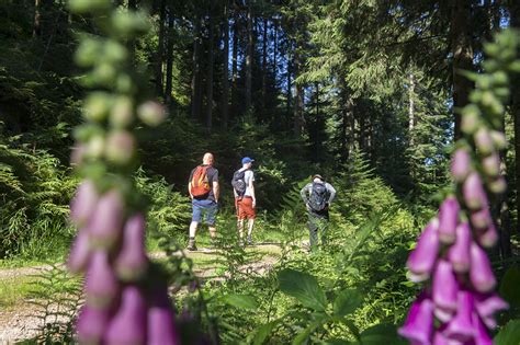 Highlight Touren Im Nationalpark