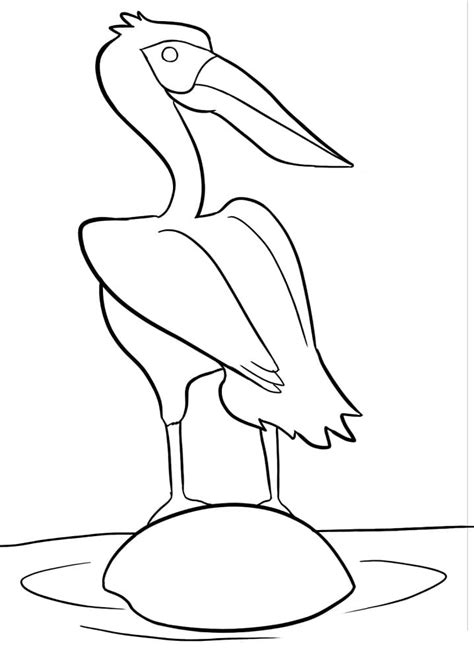 A Pelican coloring page - Download, Print or Color Online for Free