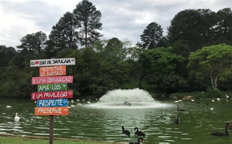 Zoológico de Sapucaia reabre nesta terça feira após sofrer danos