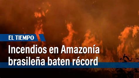 Incendios En Amazonía Brasileña Baten Récord Para Un Primer Semestre En 20 Años Youtube