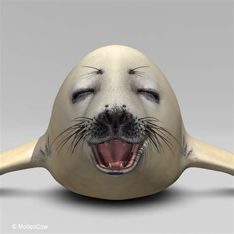 Harp Seal ( Pup ) – MotionCow