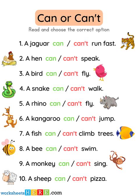 Can Or Can T Exercises With Pictures And Answers Examples Pdf Worksheet