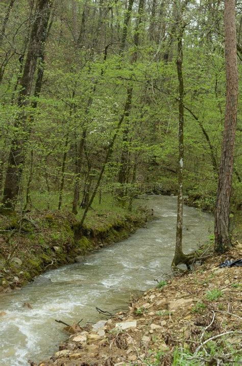 Arkansas Stream in the Boston Mountains Stock Image - Image of winding ...