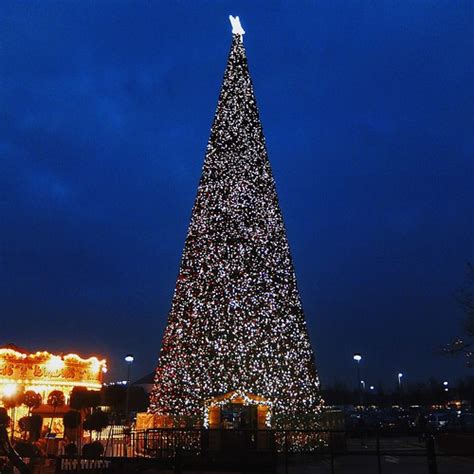 Uks Largest Christmas Tree Cheshire Oaks Alex Flickr