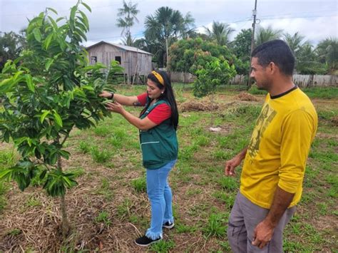 Senar Ar Am Realiza Entrega De Equipamentos Aos Vencedores Do Pr Mio