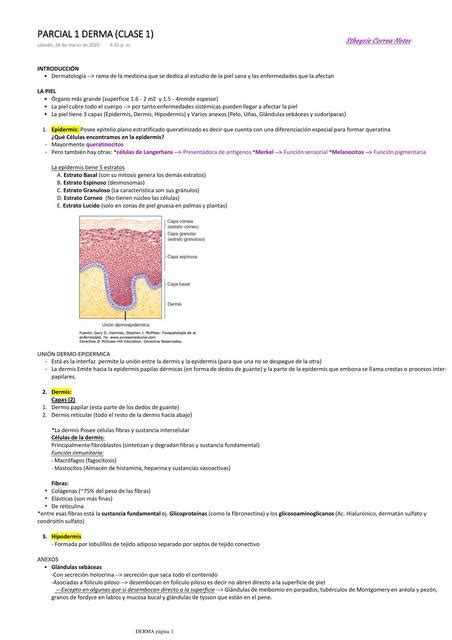 Parcial Dermatolog A Medilove Udocz