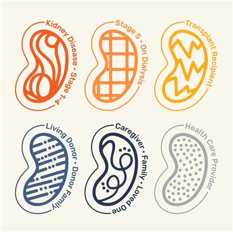 Living with Kidney Disease and Transplantation — Lettering Works