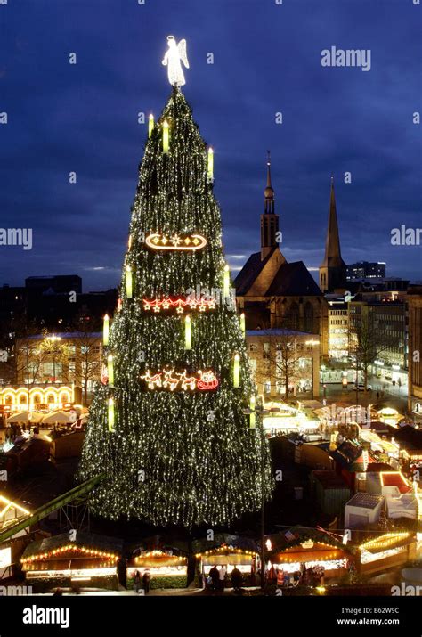 The Tallest Christmas Tree In The World