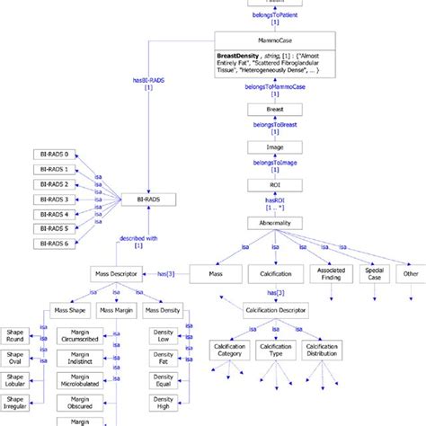 Probability of BI-RADS scores 2 and 5 for a mass with irregular shape ...