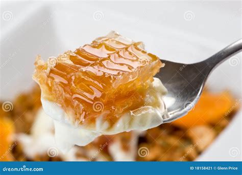 Yogurt with Honeycomb stock image. Image of honey, yogurt - 18158421