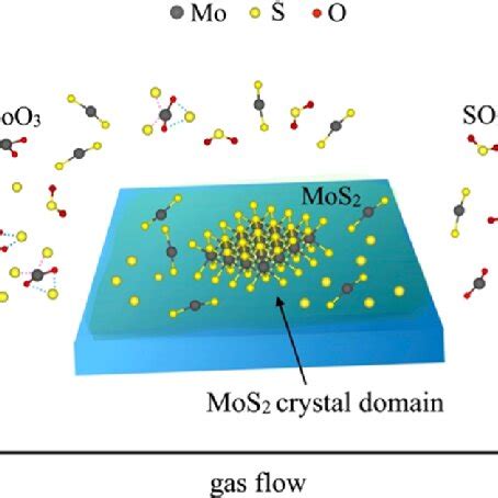 Schematic Diagram Of The Growth Mechanism Of Singlelayered MoS 2