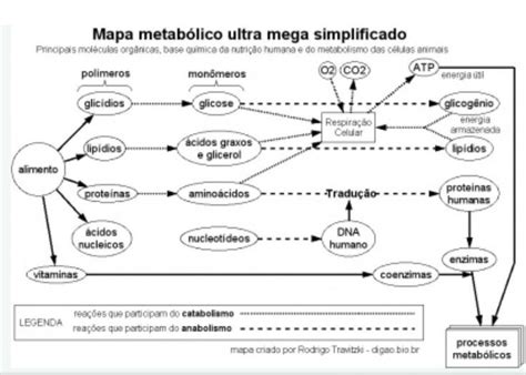 Pin De Mentesenutrientes Nutricionist Em Metabolismo