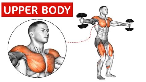 Upper Body Exercises At Home With Dumbbells Perfect Chest At Home 👌 Stay Fit Youtube