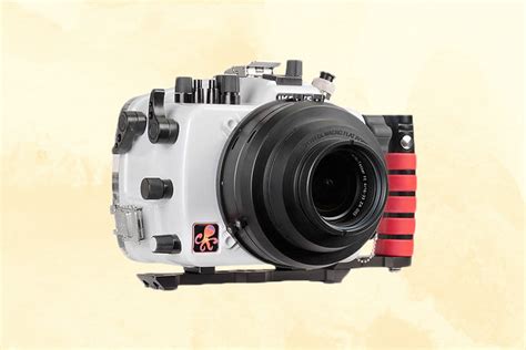 The Best Underwater Cameras for Photographers of All Levels | Condé ...