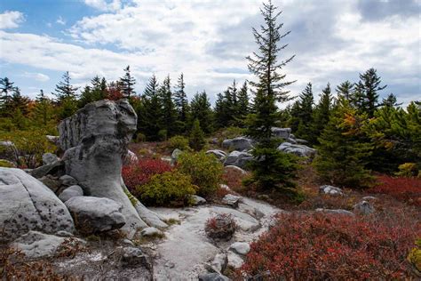 Dolly Sods Wilderness Loop Backpacking Guide — Into The Backcountry