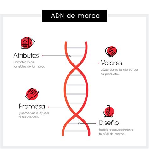 Proyectas Lo Que Eres Descubre El Adn De Tu Marca El Blog De Como