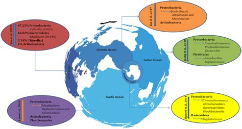 Diversity of marine bacteria and their dominance | Download Scientific Diagram