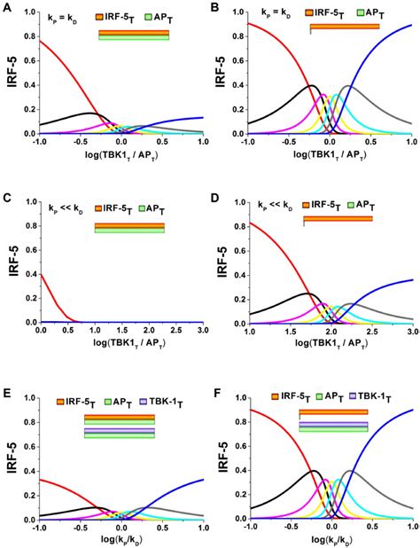 Theoretical Investigation Of The Regulation Of IRF 5 Multisite