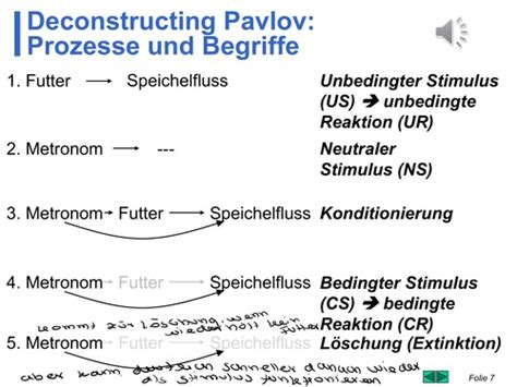 Vorlesung 2 Prinzipien Theorien und Phänomene der klassischen