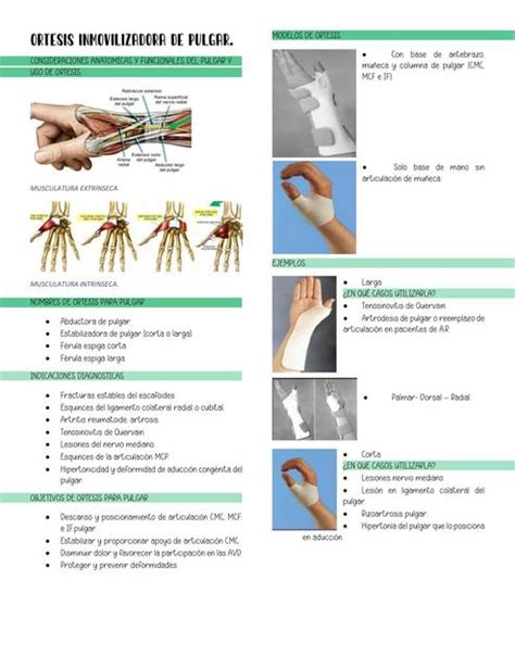 Ortesis Inmovilizadores De Pulgar Daniela G Mez Udocz