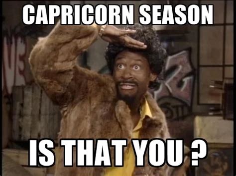 30 Best Memes About Being A Capricorn SayingImages