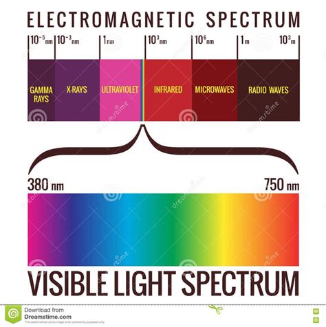 Visible Light Spectrum Diagram Stock Illustration - Illustration of ...