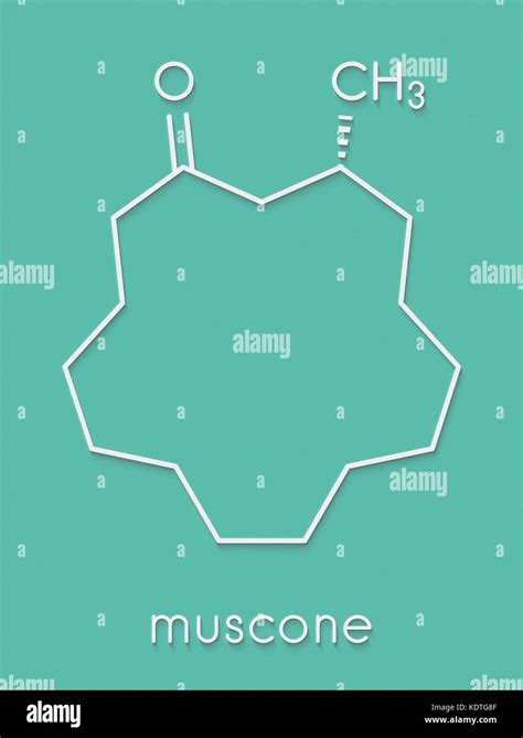 Muscone molecular fotografías e imágenes de alta resolución - Alamy