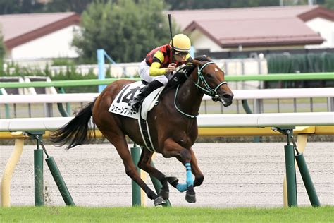 【新馬 東京5r】リアルスティール産駒 シェーンプリマーが逃げ切りv 競馬ニュースなら競馬のおはなし