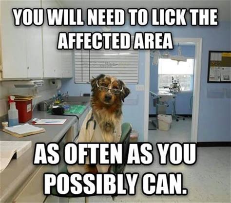 Funny Pictures Of The Day 85 Pics Veterinary Humor Vet Tech Humor