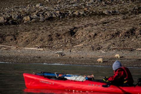 Voyage croisière Svalbard et Jan Mayen Kayak en baie du Roi