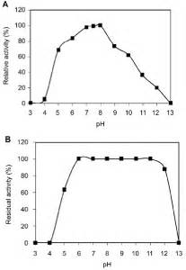 PH Profile A And PH Stability B Of The Purified PSA Amylolytic