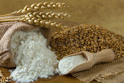 Wheat Grains Bran And Flour Stock Image Image Of Breads Sack