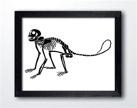 Spider Monkey Skeleton Digital Download Spider Monkey Art Etsy